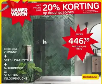 Praxis ZIJWAND + STABILISATIESTEUN + MUURPROFIEL = SEALSKIN INLOOPDOUCHE aanbieding