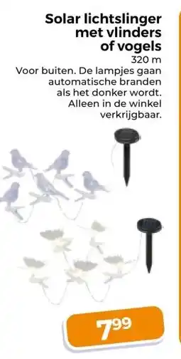 Trekpleister Solar lichtslinger met vlinders of vogels aanbieding
