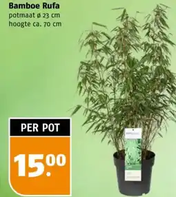 Poiesz Bamboe Rufa aanbieding