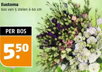 Poiesz Eustoma aanbieding