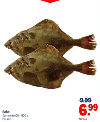 Makro Schol aanbieding