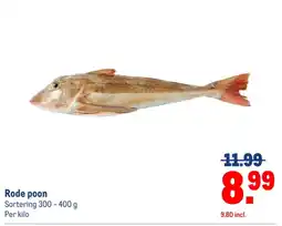 Makro Rode poon aanbieding