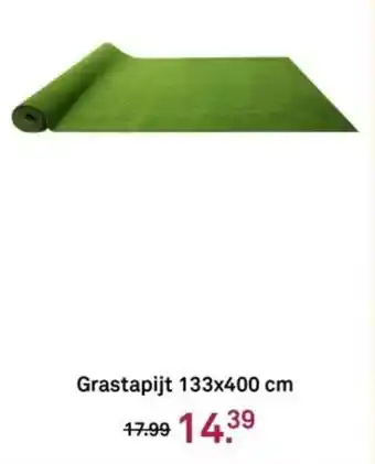 Karwei Grastapijt aanbieding