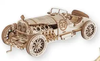 Bruna V8 Grand Prix Car aanbieding