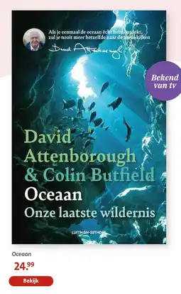 Bruna Oceaan aanbieding