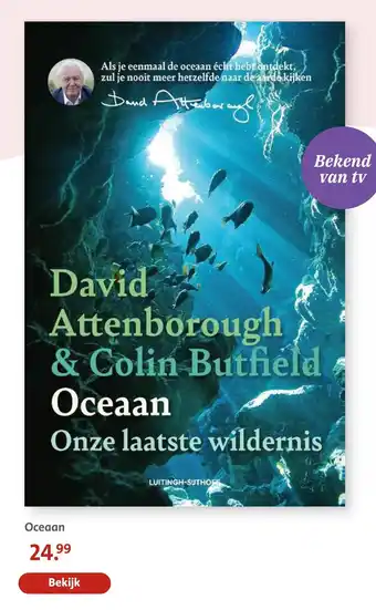 Bruna Oceaan aanbieding