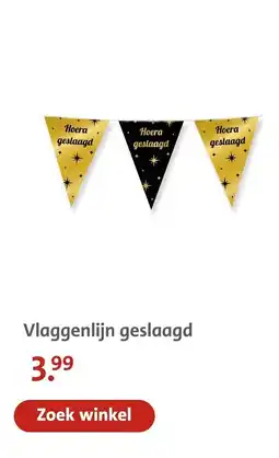 Bruna Vlaggenlijn geslaagd aanbieding