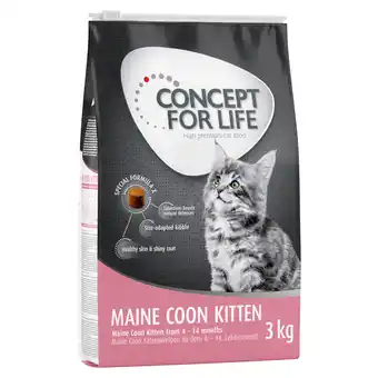 Zooplus 3 kg Concept for Life Kattenvoer - Maine Coon Kitten aanbieding