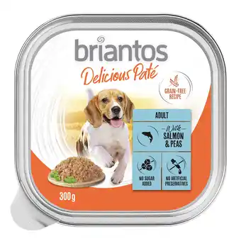 Zooplus Briantos Delicious Paté 27 x 300 g - Vis en erwten aanbieding