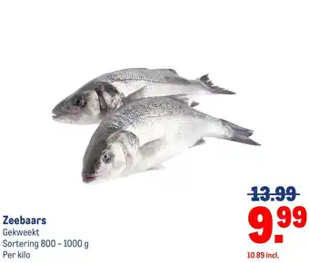 Makro Zeebaars aanbieding