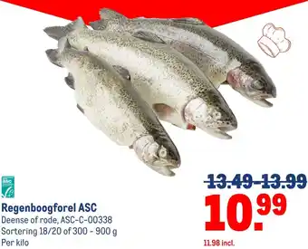 Makro Regenboogforel ASC aanbieding