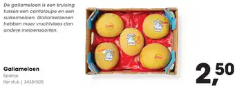 HANOS Galiameloen aanbieding