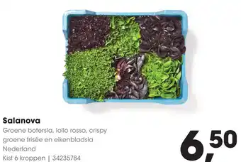 HANOS Salanova aanbieding