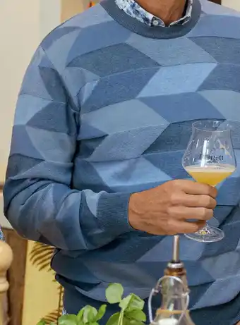 Van Dal Mannenmode Bartlett trui blauw mix aanbieding