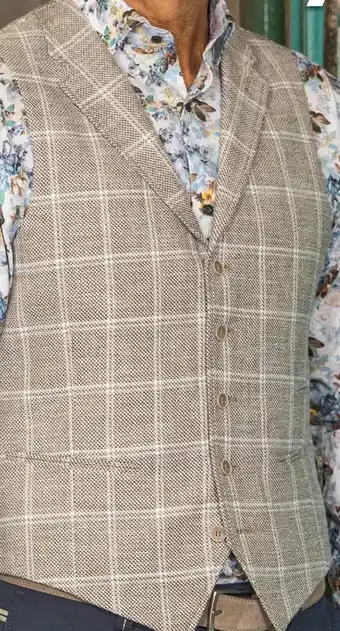 Van Dal Mannenmode Bartlett Gilet aanbieding