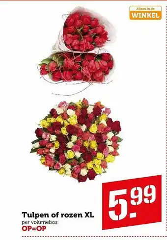 Coop Tulpen Of Rozen XL aanbieding