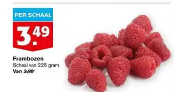 Hoogvliet Frambozen 225g aanbieding