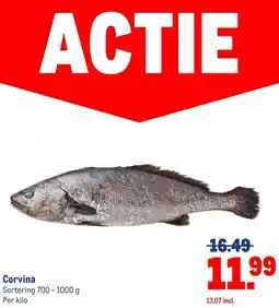 Makro Corvina aanbieding