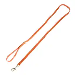 Zooplus TIAKI Waterafstotende PVC riem, oranje Lengte: 200cm hond aanbieding