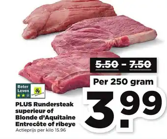 PLUS Plus Rundersteak Superieur Of Blonde D'Aquitaine Entrecôte Of Ribeye 250g aanbieding