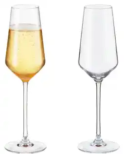 Gall & Gall Chef & Sommelier Champagne fluteglazen (23 cl) - set van 2 2ST Overig aanbieding