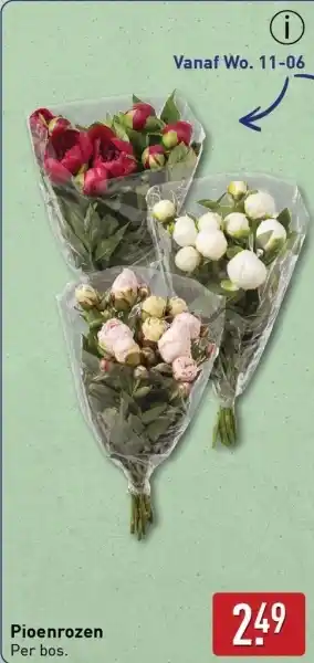 ALDI Pioenrozen aanbieding