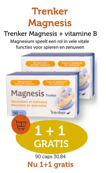 De Rode Pilaren Trenker Magnesis aanbieding