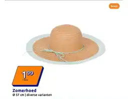 Action Zomerhoed aanbieding