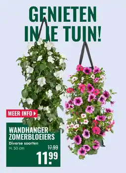 GroenRijk Wandhanger zomerbloeiers aanbieding