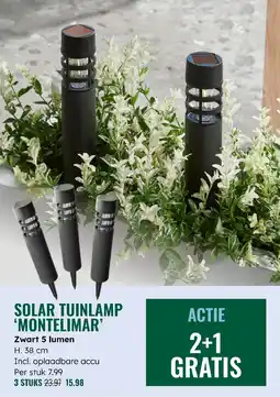 GroenRijk Solar tuinlamp 'montelimar' aanbieding