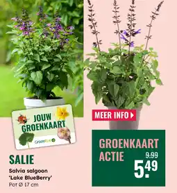 GroenRijk Salie aanbieding