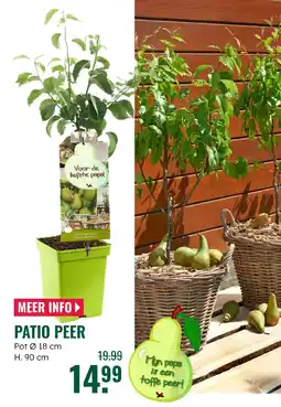GroenRijk Patio peer aanbieding