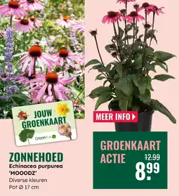 GroenRijk Zonnehoed aanbieding