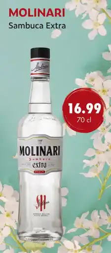 uw topSlijter Molinari Sambuca Extra aanbieding