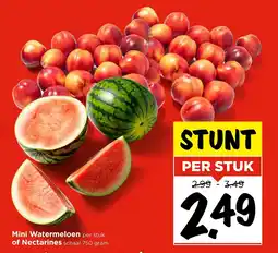 Vomar Voordeelmarkt Mini Watermeloen of Nectarines aanbieding
