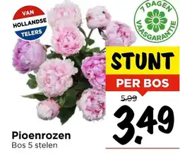 Vomar Voordeelmarkt Pioenrozen aanbieding