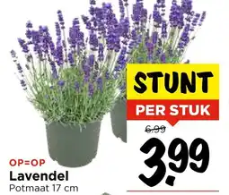 Vomar Voordeelmarkt Lavendel aanbieding