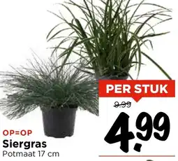 Vomar Voordeelmarkt Siergras aanbieding