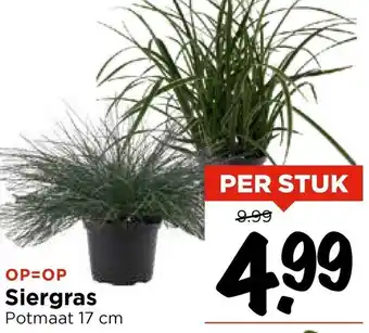 Vomar Voordeelmarkt Siergras aanbieding