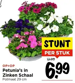Vomar Voordeelmarkt Petunia's in Zinken Schaal aanbieding