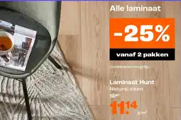 Kwantum Laminaat Hunt aanbieding