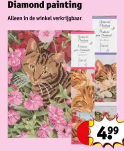 Kruidvat Diamond painting aanbieding