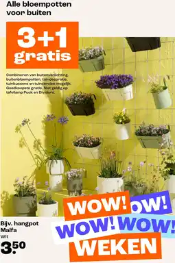 Kwantum Alle bloempotten voor buiten aanbieding