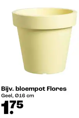 Kwantum Bloempot Flores aanbieding