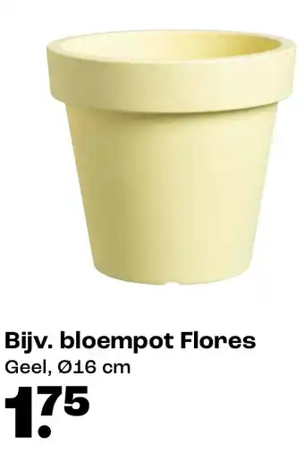 Kwantum Bloempot Flores aanbieding