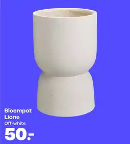 Kwantum Bloempot Lione aanbieding