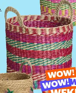 Kwantum Manden Mosset aanbieding