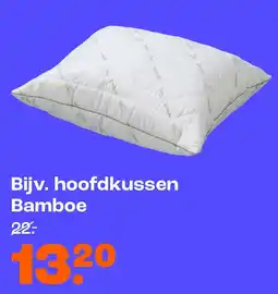 Kwantum Hoofdkussen Bamboe aanbieding