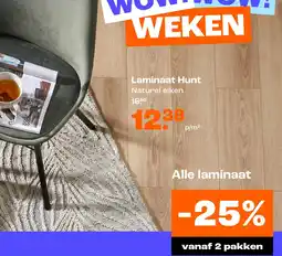 Kwantum Laminaat Hunt aanbieding