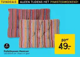 Xenos Palletkussen Mexican aanbieding